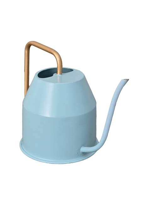 Buy Watering Can for Plants | Essential Tool for Plant Care – Ugaoo