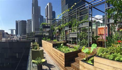 WOHA Rooftop Urban Farm - archigardener