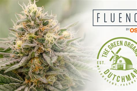 Image result for Fluence LED