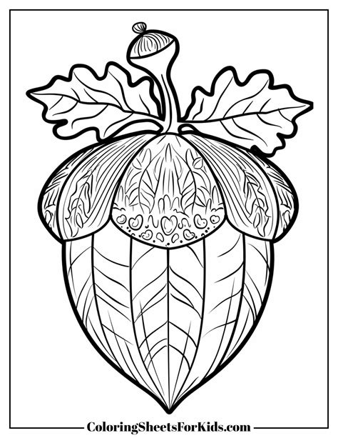 Acorn Coloring Pages (Free Print) - Coloring Sheets For Kids