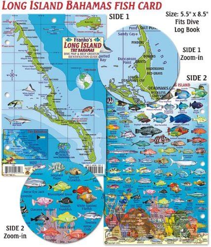 Buy Long Island Bahamas Dive & Reef Creatures Guide Franko s Laminated ...