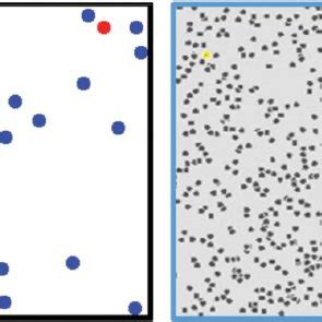 Kuvatulokset haulle brownian motion