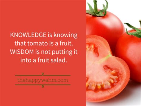 Knowledge and Wisdom Examples 的图像结果