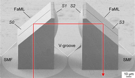 Image result for Sem Structure