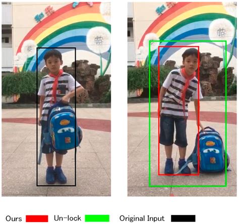A Classification-Lock Tracking Strategy Allowing a Person-Following ...