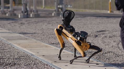 ਹੁਣ ਰੋਬੋਟ ਵਾਲੇ ਕੁੱਤੇ ਲੈ ਕੇ ਘੁੰਮ ਰਹੇ ਲੋਕ ,ਨਵੇਂ Trend ਨੇ ਬਦਲਿਆ ਸੜਕਾਂ ਦਾ ...