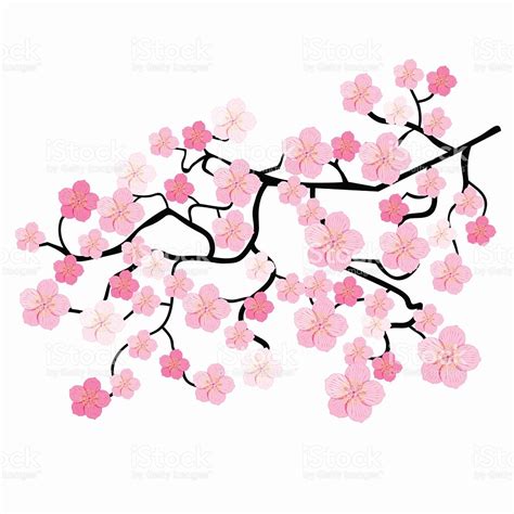 Cherry Blossom Clipart | Free download on ClipArtMag