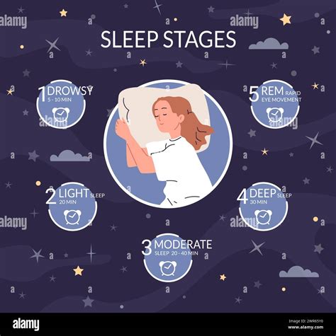 Healthy Rem Sleep Cycle at Lachlan Ricardo blog