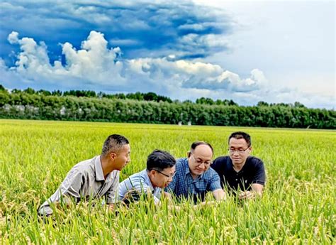 大农业 的图像结果