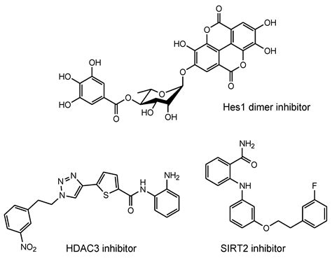Delivery of Intravenously Administered Antibodies Targeting Alzheimer’s ...