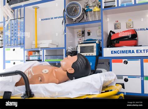 Image result for First Aid Practices