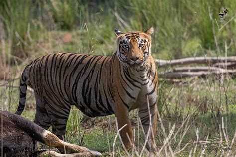 Nature-o-graphy with Uday