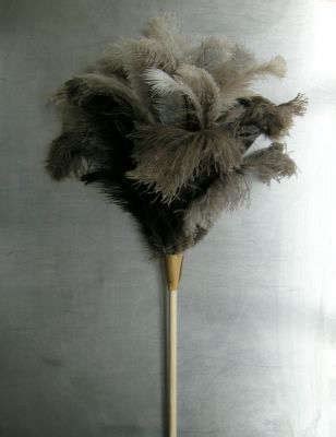 Using Feather Duster 的图像结果