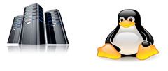 Linux / Windows Web Hosting