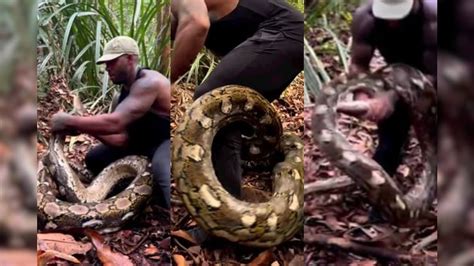 Python Attacking Human 的图像结果