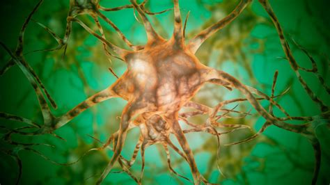 Dalle neuroscienze alla filosofia. 24 ritratti di scienziati ...