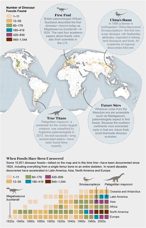 What Fossils Have Been Found: A Dinosaur Discovery Guide