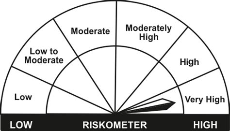 Investors understand that their Principal wil be at Very High Risk