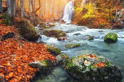 Overview | NXTDIGITAL