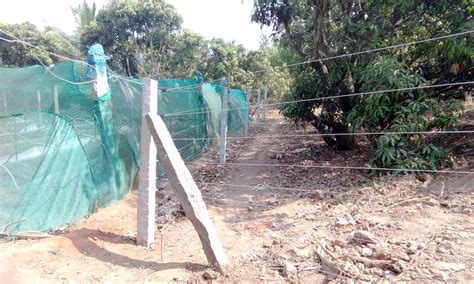 Solar Fencing in Bangalore
