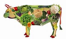 alimento vegano mitos y verdades sobre la dieta vegana ecocosas alimento vegano mitos y verdades sobre la dieta vegana ecocosas