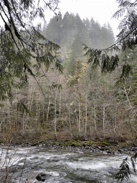 A cold and misty morning at the Salmon River Trailhead, Oregon, USA : r ...