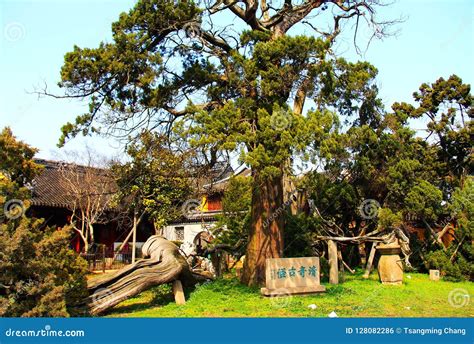 Classical Gardens Of Suzhou, Travel To China Royalty-Free Stock ...