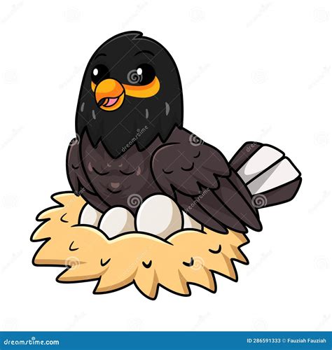 Cute Myna Bird Cartoon with Eggs in the Nest Stock Vector - Illustration of funny, common: 286591333