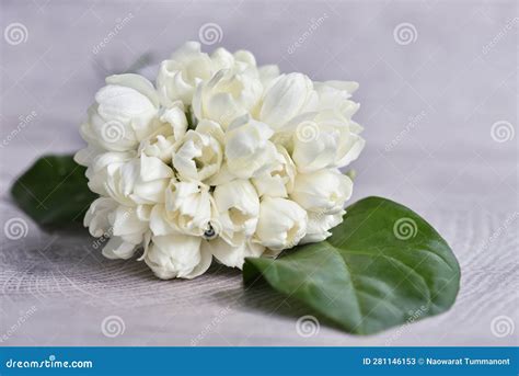 Fragrance and Fresh Jasmine Flowers Bouquet on White Background. Stock Image - Image of ...