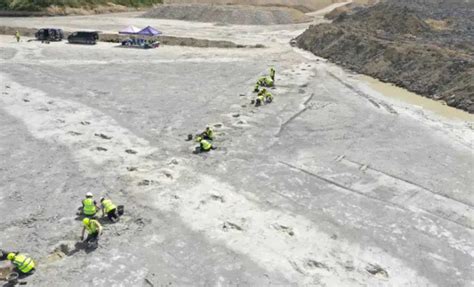 Hundreds of Dinosaur Footprints Dating Back 166 Million Years Found in the UK