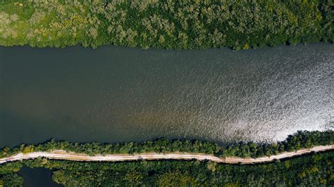 Image result for Observer Pattern JavaScript