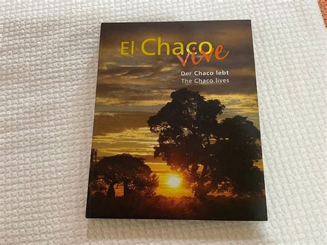 HOTEL BOQUERÓN (Neuland Colony) - Hotel Reviews & Photos - Tripadvisor