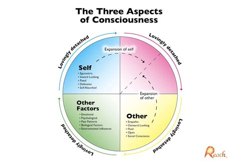 Levels Of Consciousness Theory at Thomas Pritchett blog