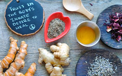 Image result for holistic medicine