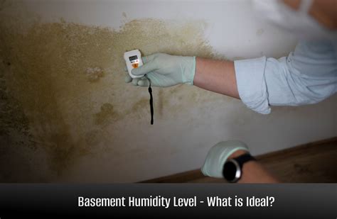 Image result for Basement Humidity Level