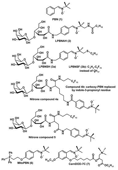 Neuroprotection by Radical Avoidance: Search for Suitable Agents