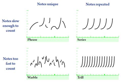 Image result for Patterning Song
