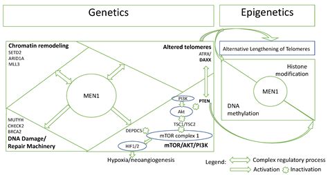Insights into Epigenetic Changes Related to Genetic Variants and Cells ...