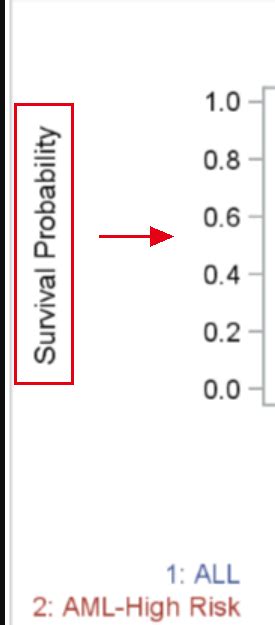 Image result for SAS Label Statement Proc SQL