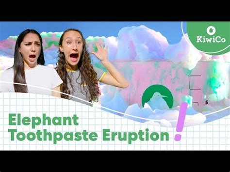 Image result for Elephant Toothpaste World Record