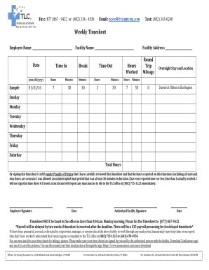 2015-2026 Form TLC Nursing Weekly Timesheet - Blank Fillable Template ...