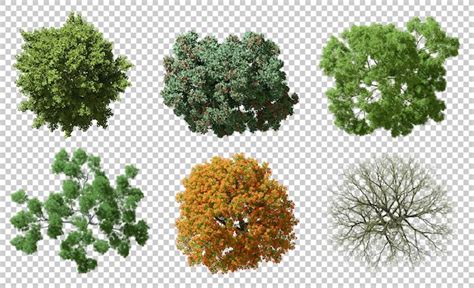 Image result for JavaScript Analysis Icon