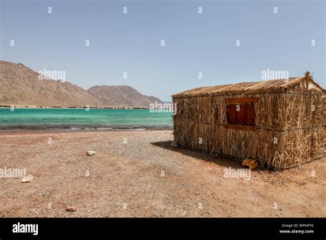 Image result for JavaScript File Example