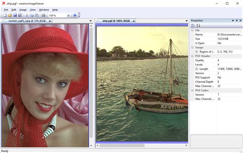 Open Pgf File 的图像结果