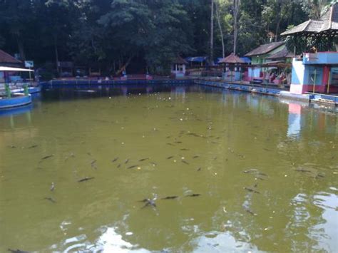 Kolam Cigugur (Kuningan) - 2022 What to Know Before You Go (with Photos ...