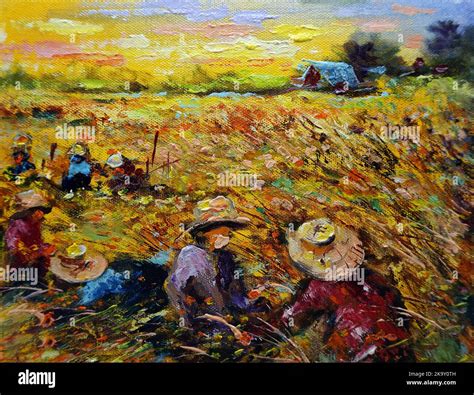 Art painting Oil color Harvest Rice , Countryside in the provinces ...