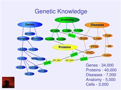 Knowledge Structure Examples 的图像结果