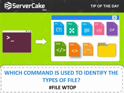 Image result for How to View a File Using Type Command