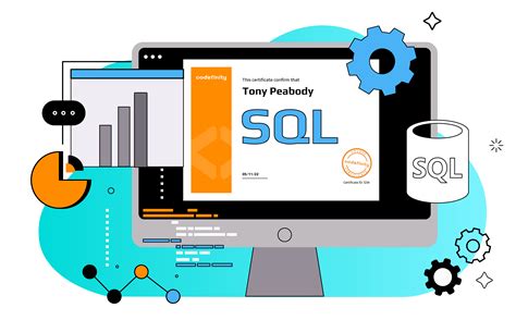 Image result for Expert-Level SQL Code