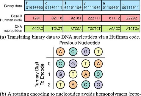 DNA Storage CodeChef Solution 的图像结果